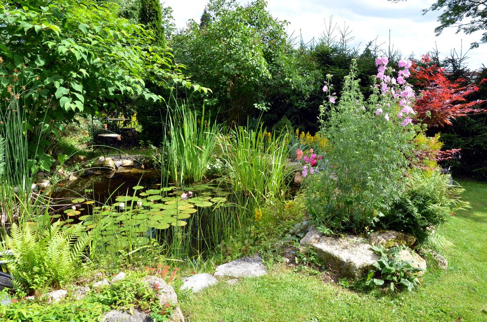 Gartenweg mit Bepflanzung