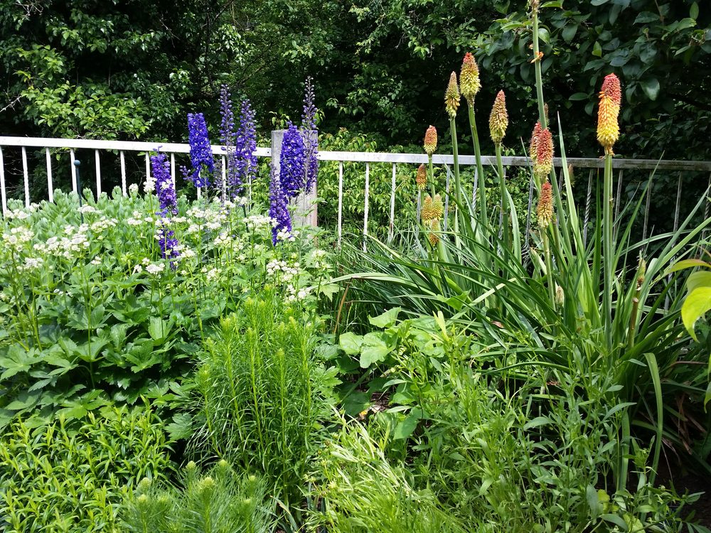 Pflasterarbeiten im Garten